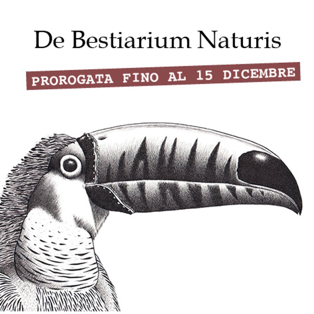 DE BESTIARIUM NATURIS dal 14 luglio PROROGATA AL 15 DICEMBRE